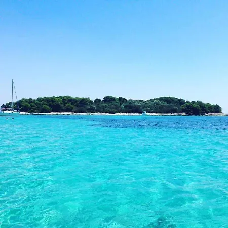 Delta * Τρογκίρ