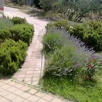 Daire Delta Trogir